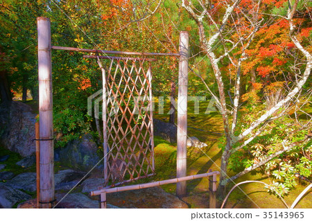 Hogonin bamboo  fence 35143965