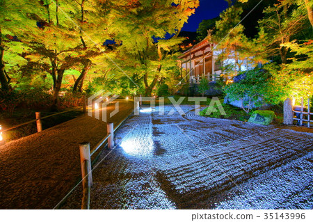 Hogonin Temple zen garden Maple foliage illuminati 35143996
