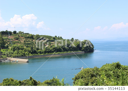 Omura Bay in midsummer Omura Bay in midsummer 35144113