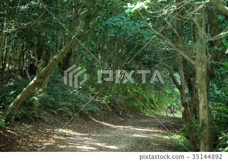 Saku Island 35144892