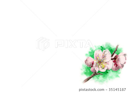 白色李子花新年明信片材料 35145187