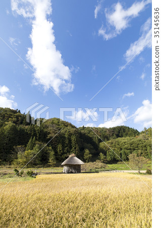 A scenery with a water mill A scenery with a water mill 35145636
