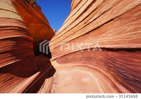The wave The wave 35145698