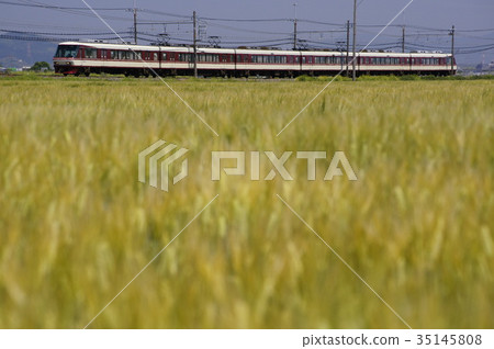 Nishitetsu Limited Express 8000 that runs through the wheat field in Aizaka Nishitetsu Tenjin Tenjin Omuta Line: Hamma-Aizaka Nishitetsu Limited Express 8000 that runs through the wheat field in Aizaka Nishitetsu Tenjin Tenjin Omuta Line: Hamma-Aizaka 35145808