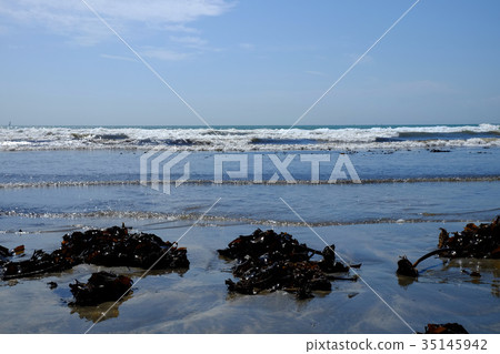 Scenery of the coast · Yuigahamahama 35145942
