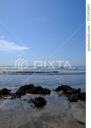 Scenery of the coast · Yuigahamahama 35145943