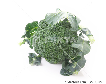 broccoli broccoli 35146455