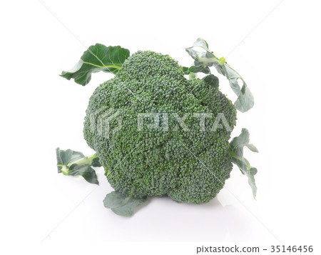 broccoli 35146456