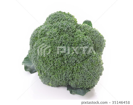 broccoli 35146458