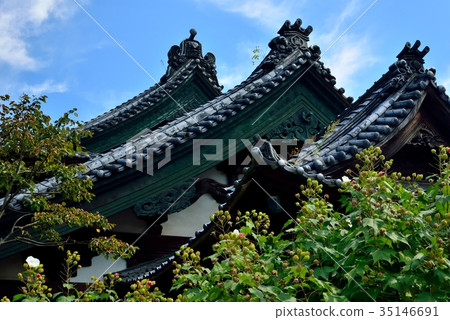 龍谷寺 龍谷寺 35146691