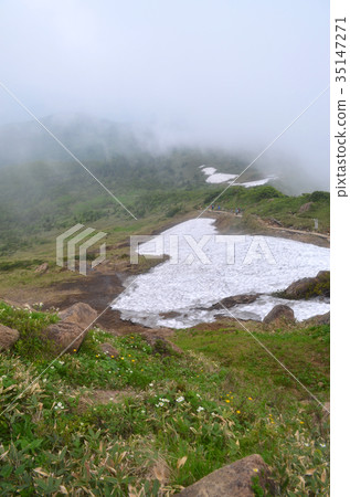 Zhejiang mountain trail in summer after snowfall 35147271