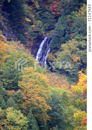 Mogami河源流黑崎的瀑布 35147683