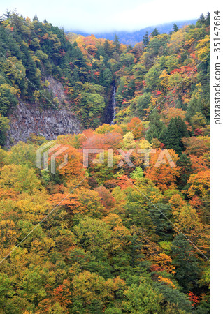 Mogami河源流Aka瀑布的瀑布 35147684