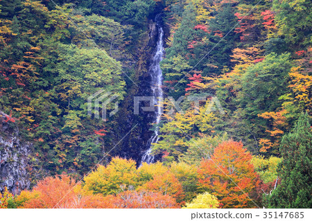 Waterfall of the Mogami River source stream Aka Falls 35147685