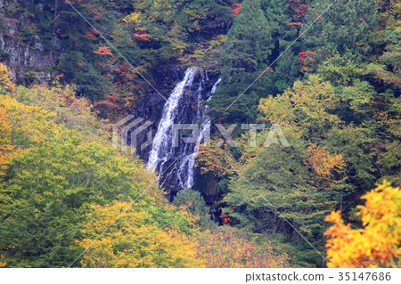 Mogami河源流黑崎的瀑布 35147686