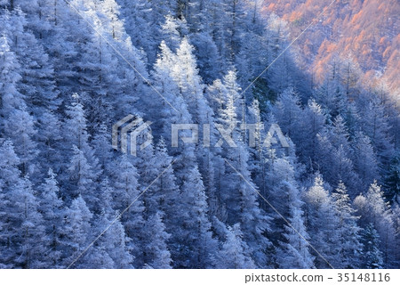 Mountain of fog and ice Mountain of fog and ice 35148116