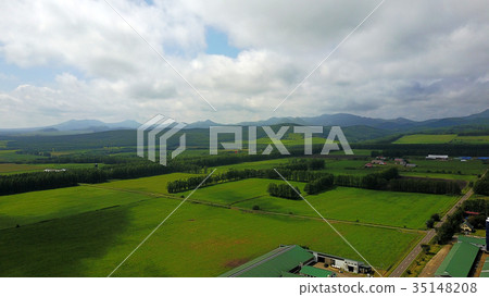 Nakashibetsu 2017，奶牛場，Killaway第三階段 35148208