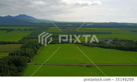 Nakashibetsu 2017，奶牛場，Killaway第三階段 35148209