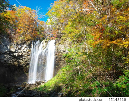 Takino Suzuran Park in the late autumn 35148316
