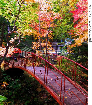 Luminous sparkle in late autumn Luminous sparkle in late autumn 35148661