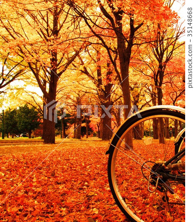 Luminous sparkle in late autumn 35148668