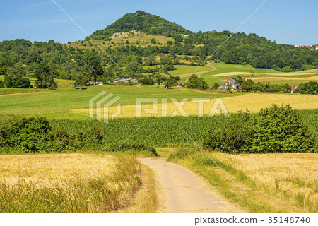 View of a wheat field to emperor hill Hohenstaufen View of a wheat field to emperor hill Hohenstaufen 35148740