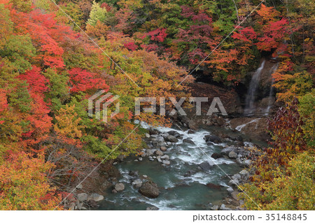 Autumn leaves Matsukawa Valley A view from the Ohashi bridge in the forest Autumn leaves Matsukawa Valley A view from the Ohashi bridge in the forest 35148845