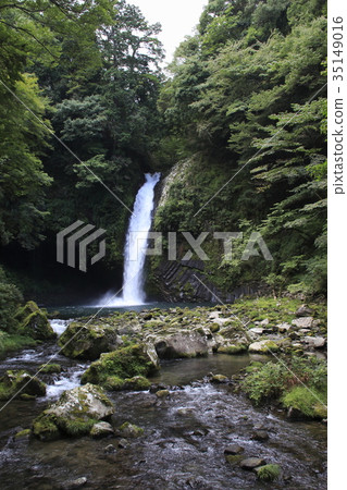 Joren瀑布（靜岡縣） 35149016