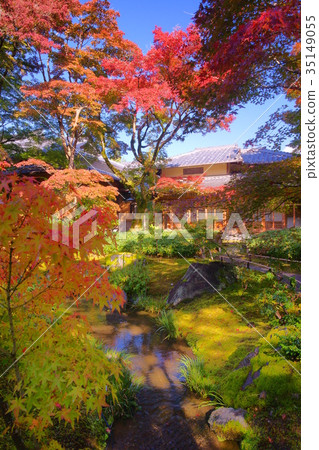 Hogonin Temple zen garden in early autumn 35149055