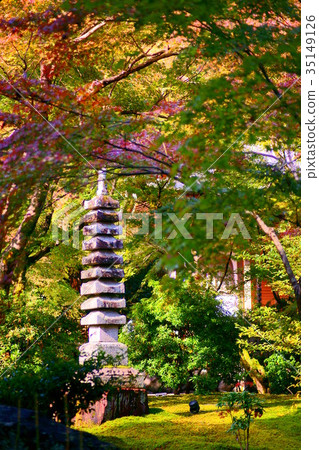 Hogonin Temple zen garden in early autumn 35149126
