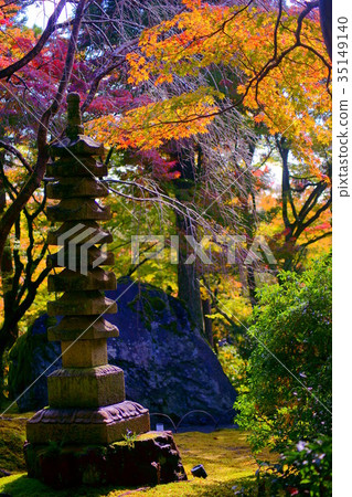 Hogonin Temple zen garden in early autumn 35149140