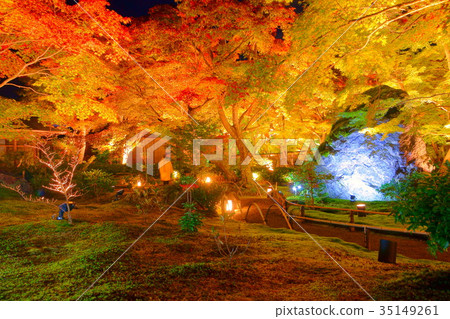 Hogonin Temple zen garden in early autumn 35149261