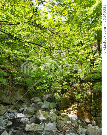 在Hihara Cave附近 在Hihara Cave附近 35149383