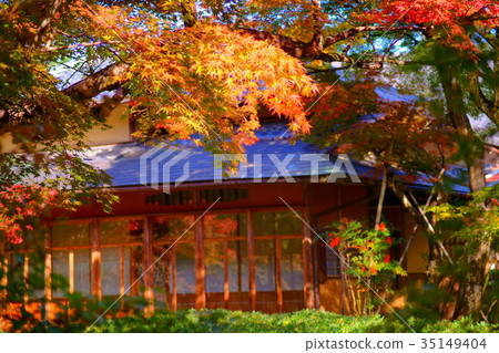 Hogonin Temple zen garden in early autumn 35149404