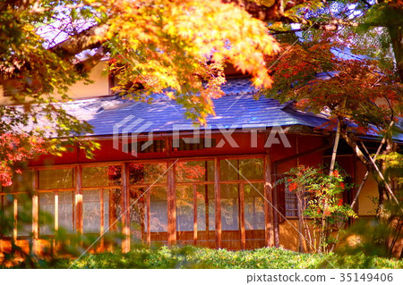 Hogonin Temple zen garden in early autumn 35149406
