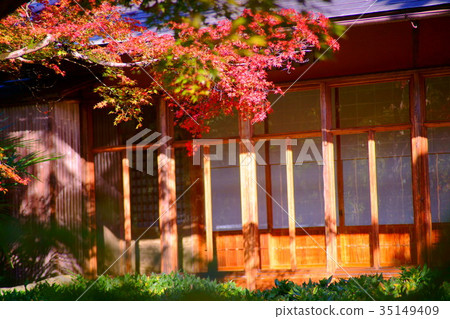 Hogonin Temple zen garden in early autumn 35149409