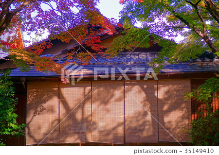 Hogonin Temple zen garden in early autumn 35149410