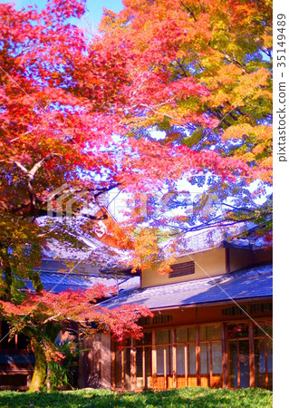 Hogonin Temple zen garden in early autumn 35149489