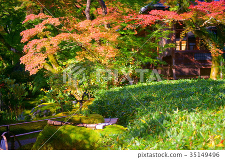 Hogonin Temple zen garden in early autumn 35149496