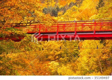 Jozankei in the late fall Jozankei in the late fall 35149497