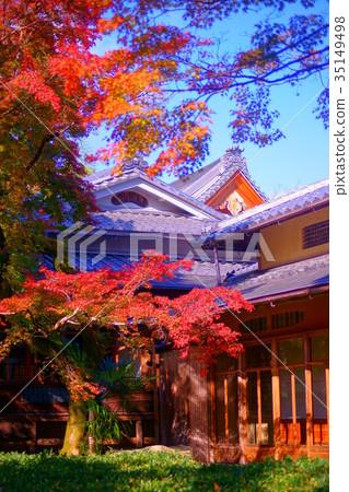Hogonin Temple zen garden in early autumn 35149498