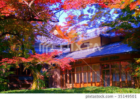 Hogonin Temple zen garden in early autumn 35149501
