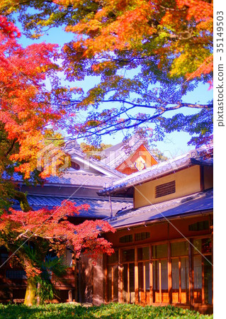Hogonin Temple zen garden in early autumn 35149503