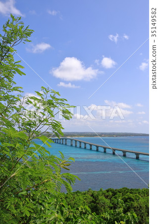 Kuruma Ohashi（宮古島） 35149582