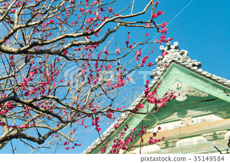 鎌倉Shokakuji的梅花大廳 鎌倉Shokakuji的梅花大廳 35149584