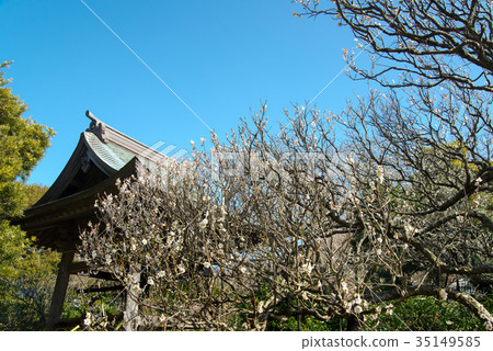 鎌倉Shokakuji寺的梅花鐘樓 35149585