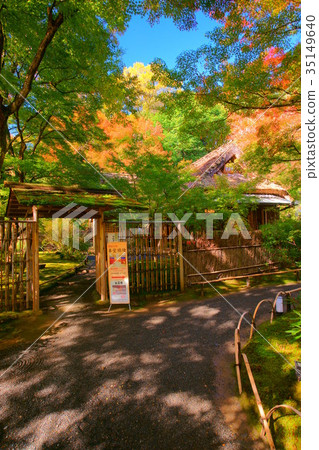 Hogonin Temple zen garden tearoom in early autumn 35149640