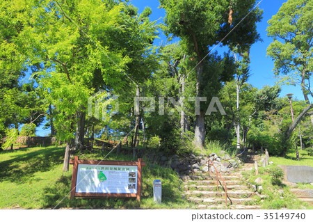 世田谷城公園 35149740