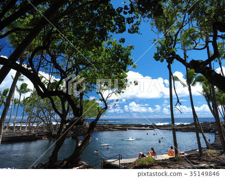 Hawaii Island Aharanui Beach Park 35149846