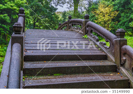 Koishikawa Korakuen“Enzuki Bridge”在秋雨中變濕 Koishikawa Korakuen“Enzuki Bridge”在秋雨中變濕 35149990